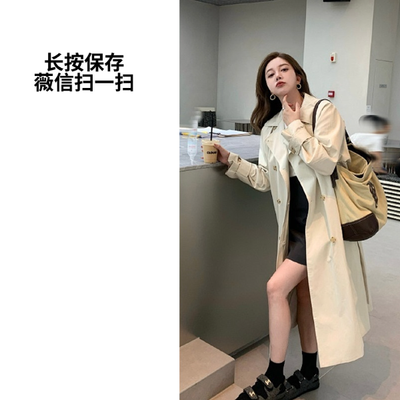 模板411