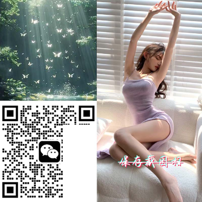 模板419